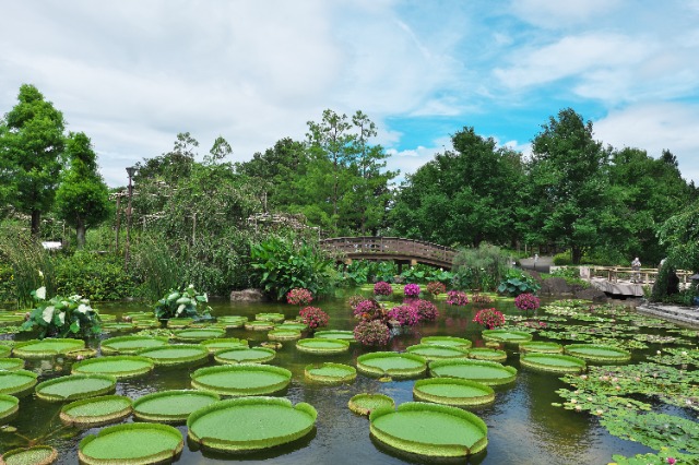 水生植物公園みずの森