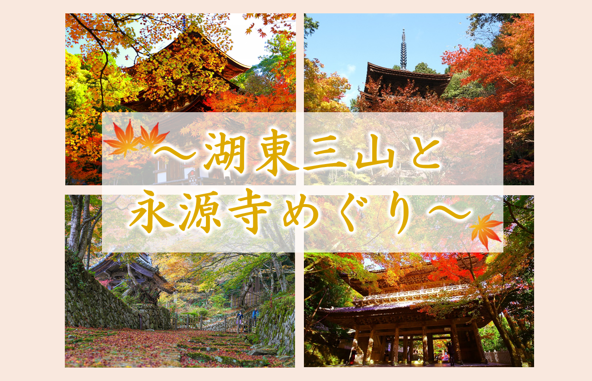 秋の近江路～湖東三山と永源寺～