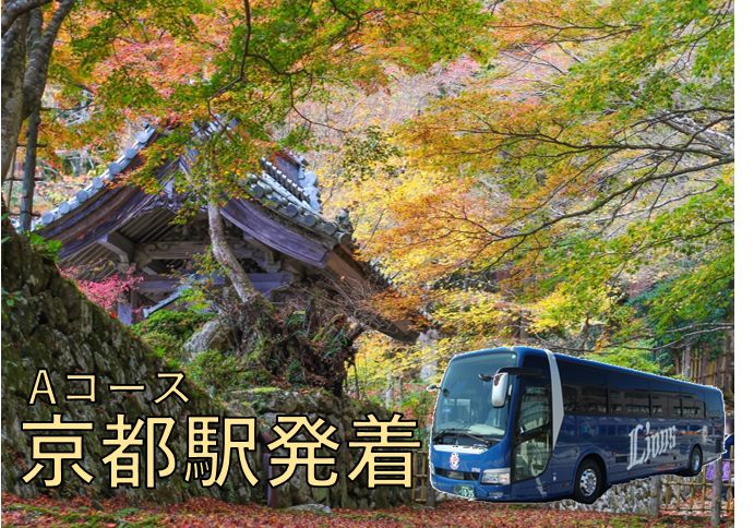 近江コース