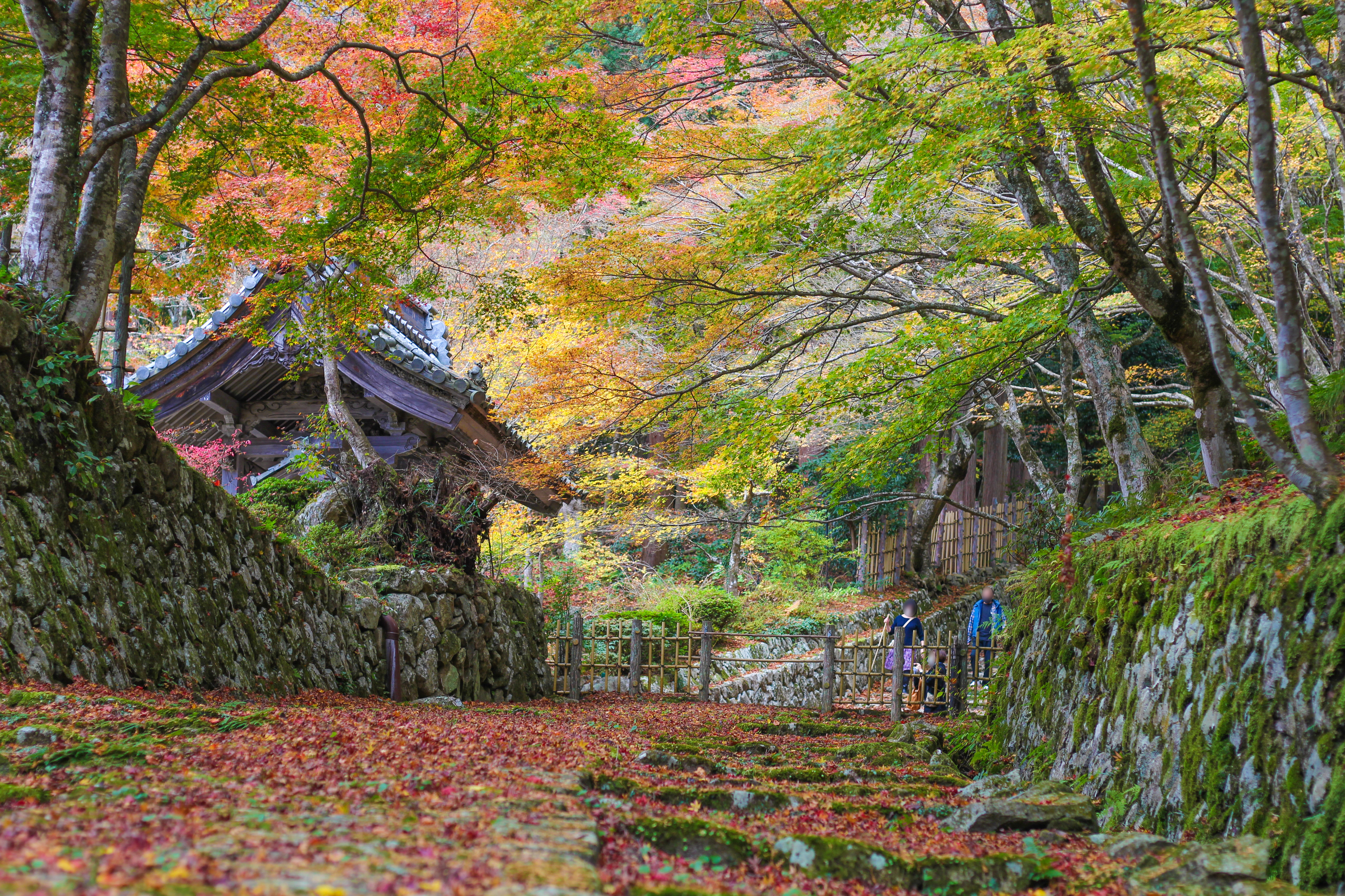 百済寺
