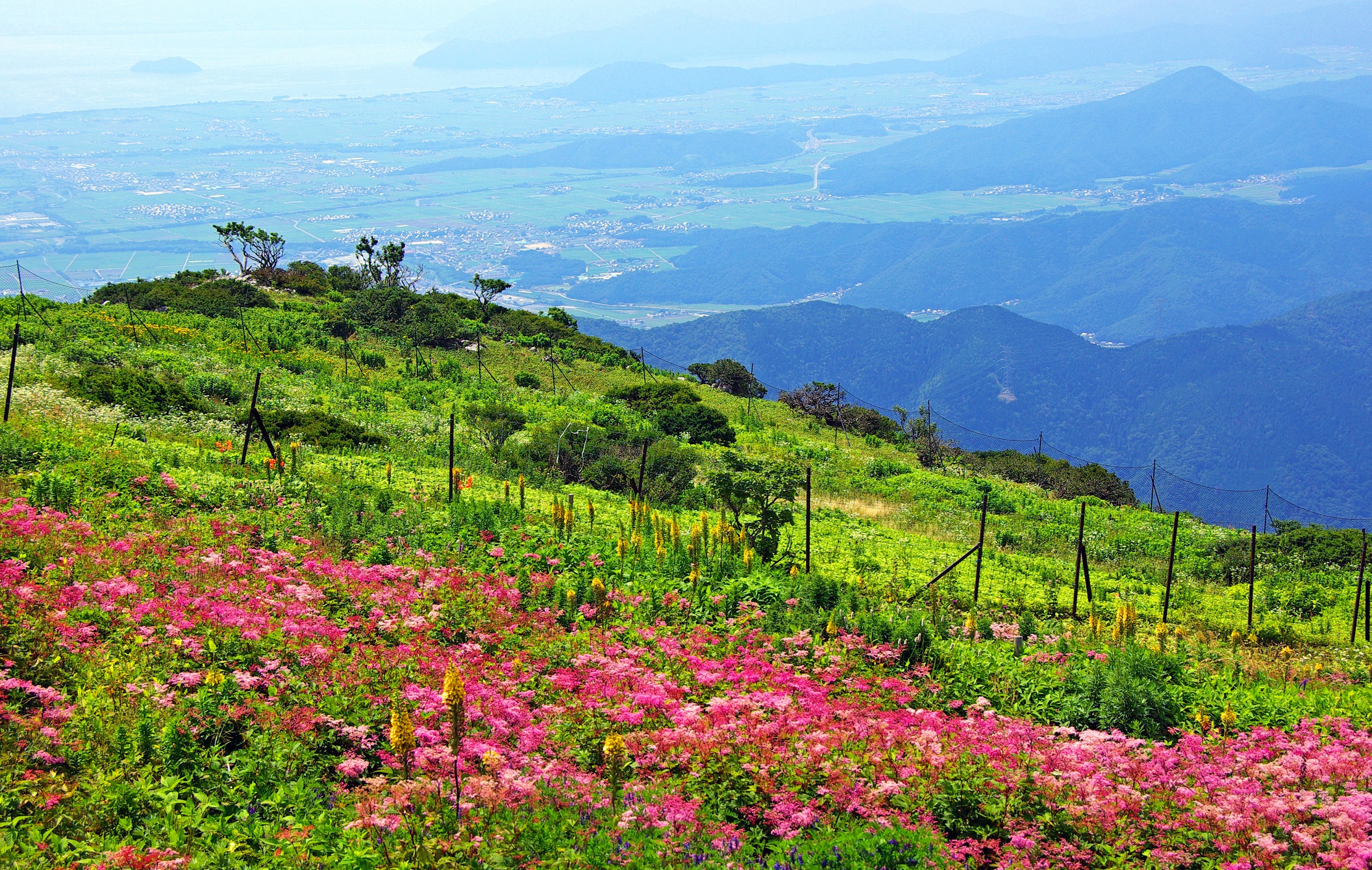 伊吹山登山バス