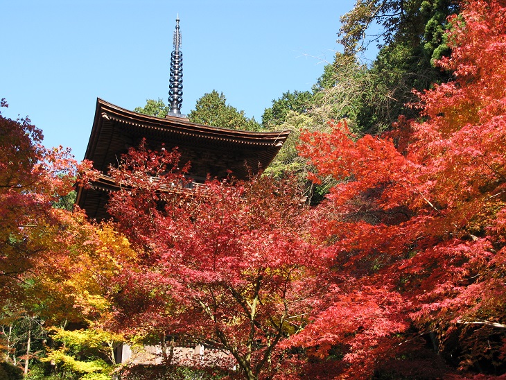 金剛輪寺