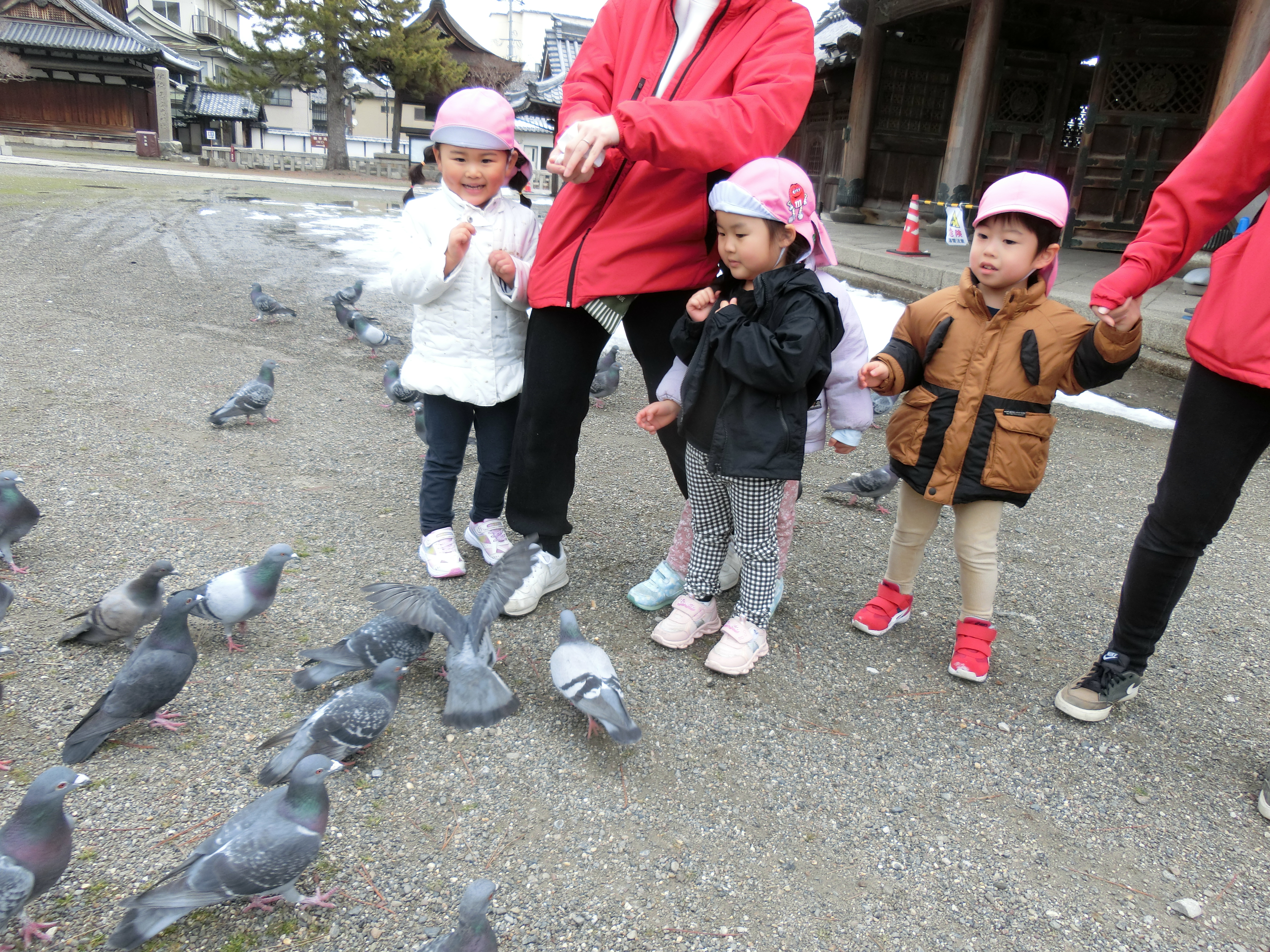 大通寺にて。鳩に餌やりしたよ～