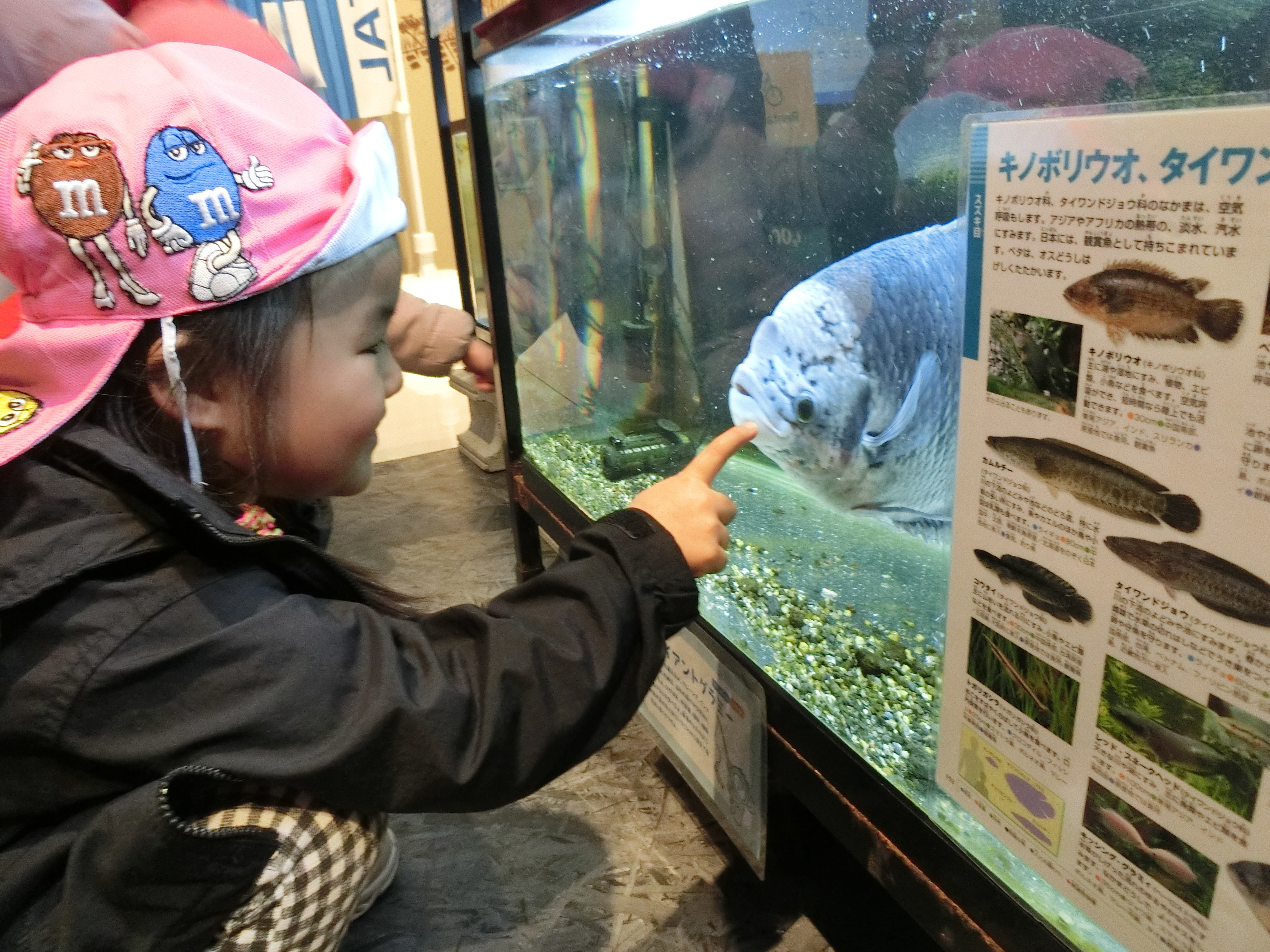 長浜駅のミニ水族館に寄り道♬　