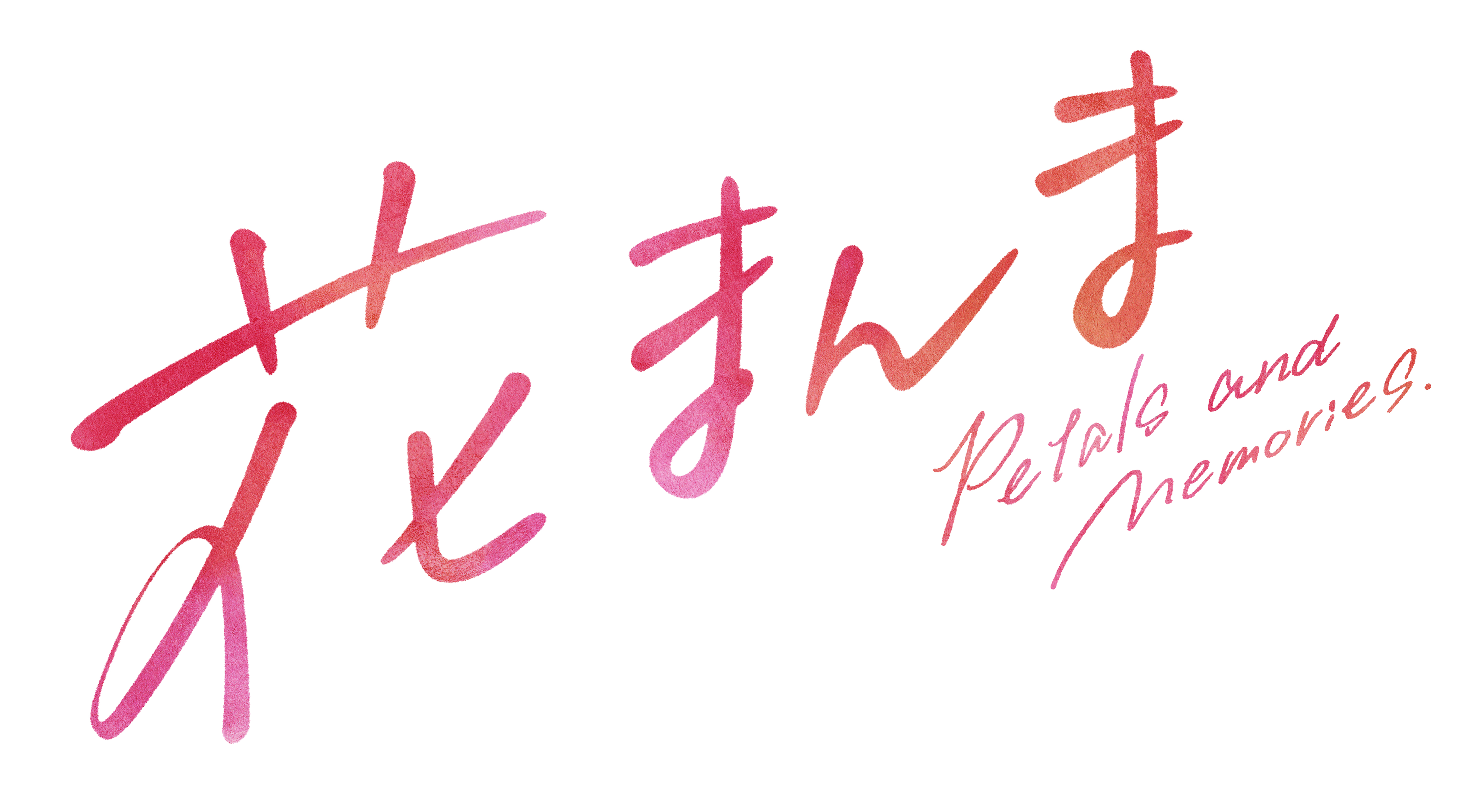 映画『花まんま』の撮影が行われました！