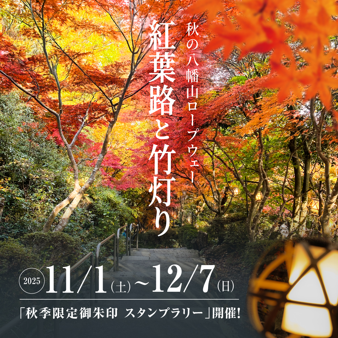 秋の八幡山ロープウェー　紅葉路と竹灯り