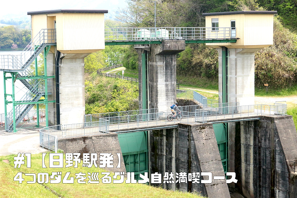 【日野駅発】4つのダムを巡るグルメ自然満喫コース