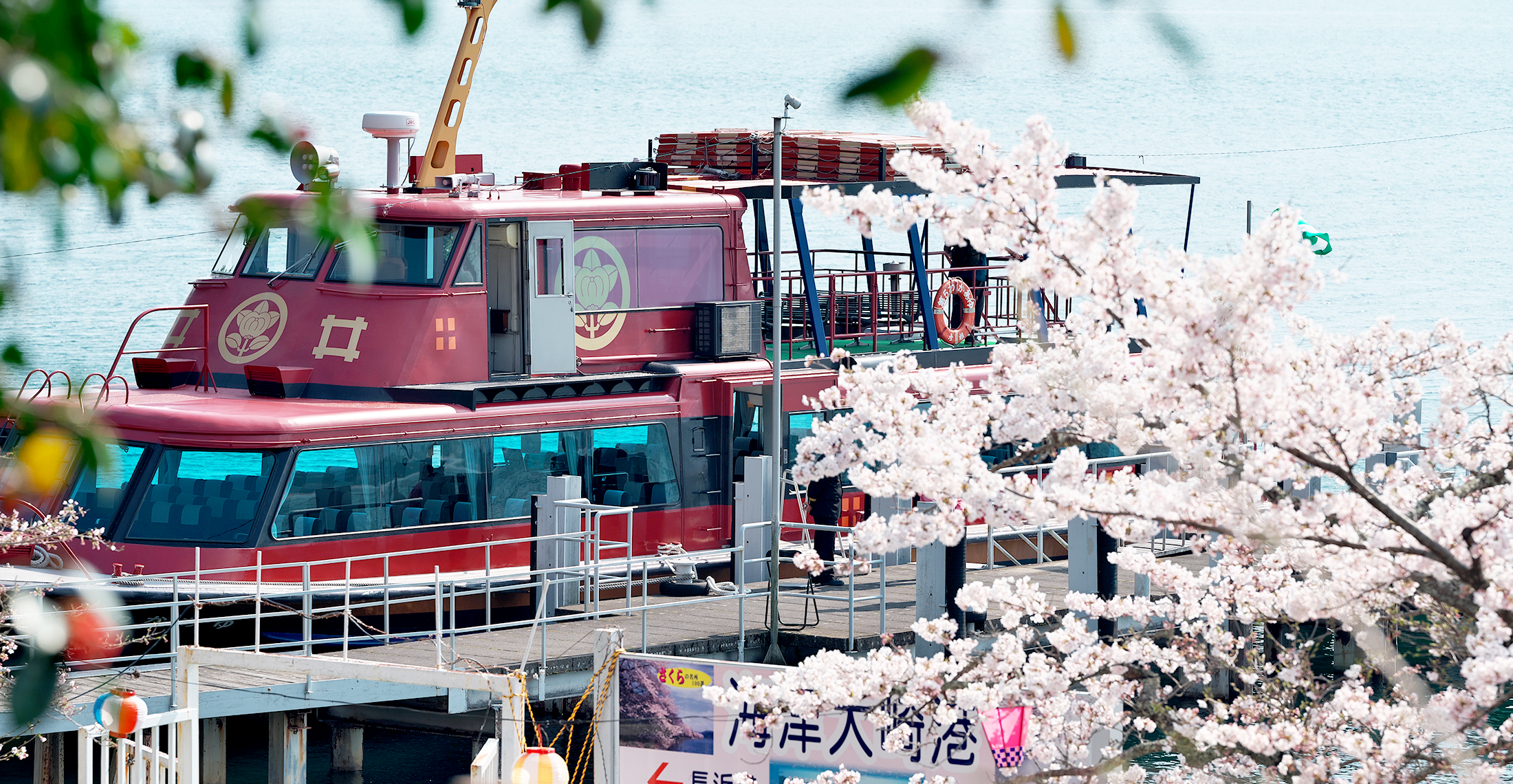 海津大崎桜花見船 彦根港発 オーミマリン