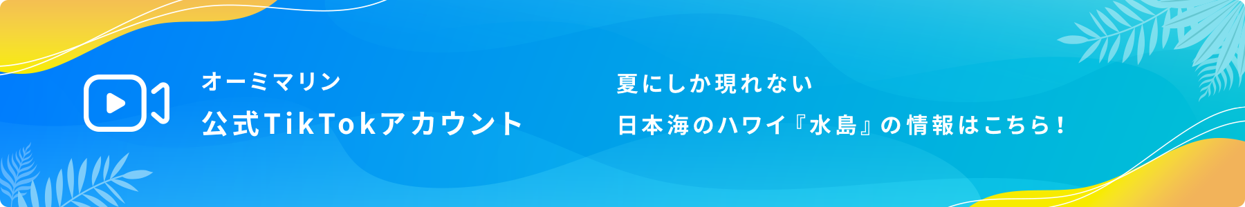 オーミマリン公式TikTokアカウント 夏にしか現れない日本海のハワイ『水島』の情報はこちら！