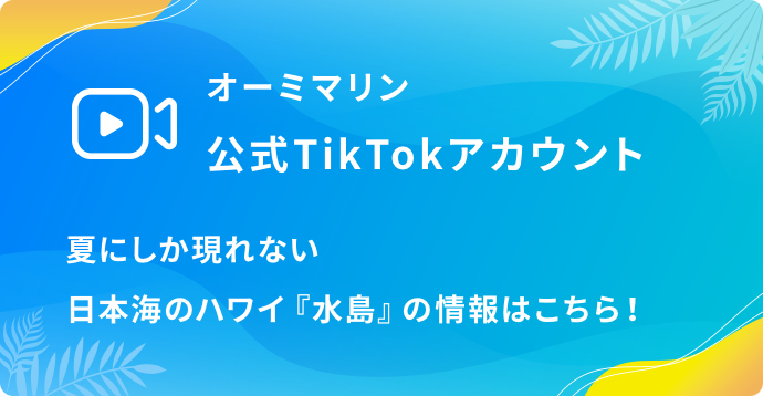 オーミマリン公式TikTokアカウント 夏にしか現れない日本海のハワイ『水島』の情報はこちら！