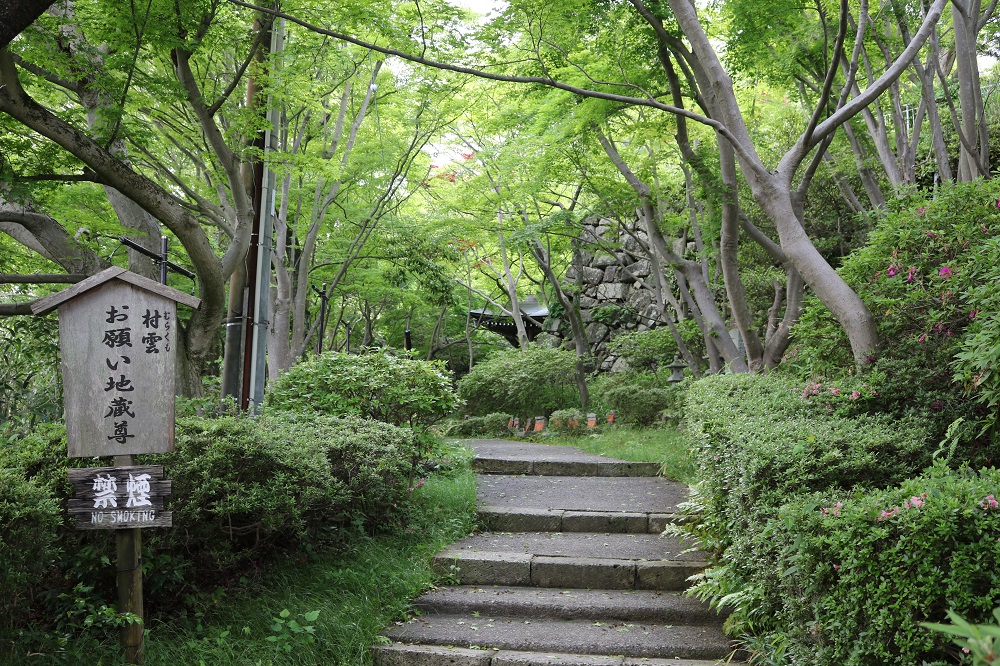 八幡山山頂の写真です。