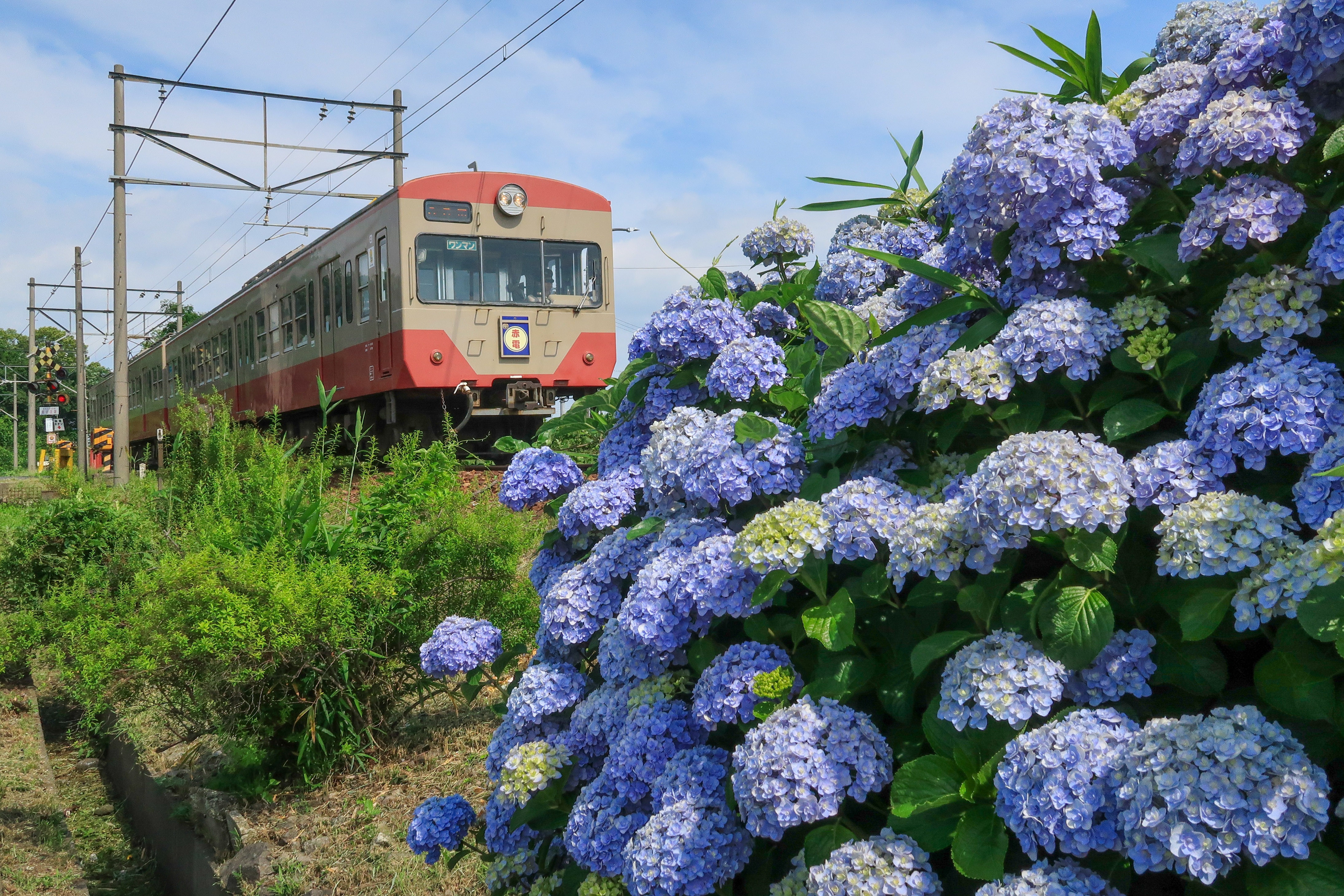 6月