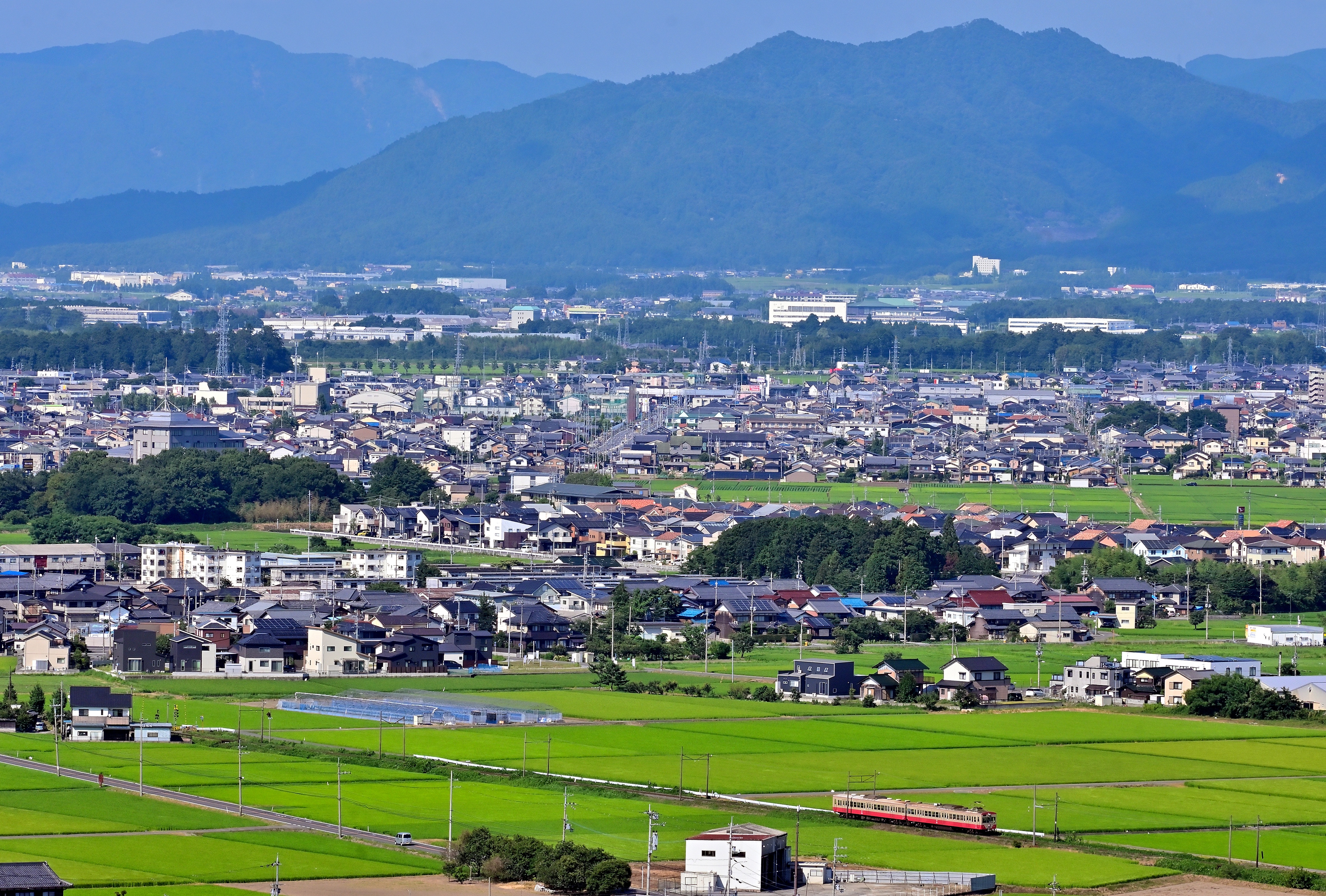 7月