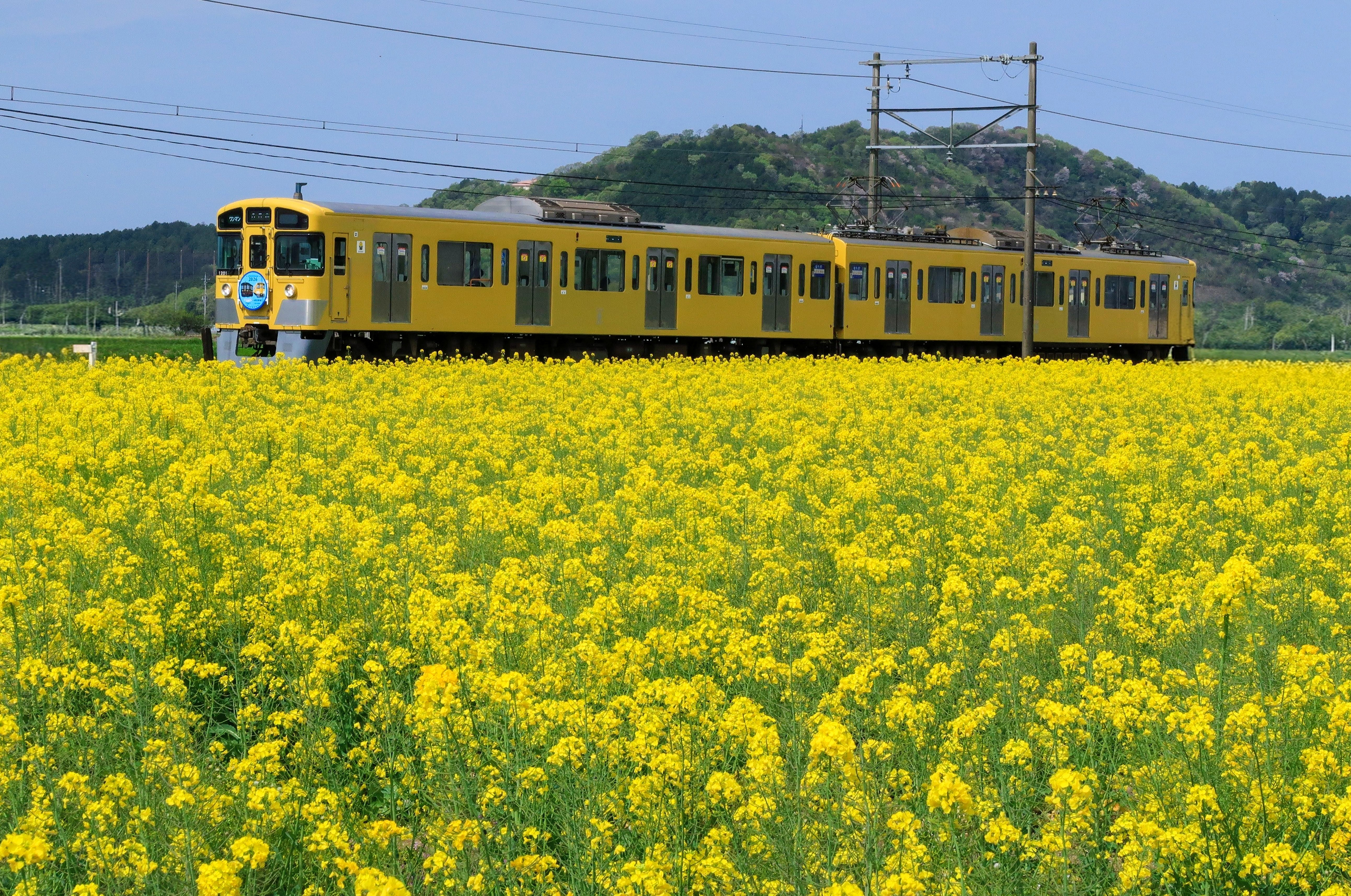 3月