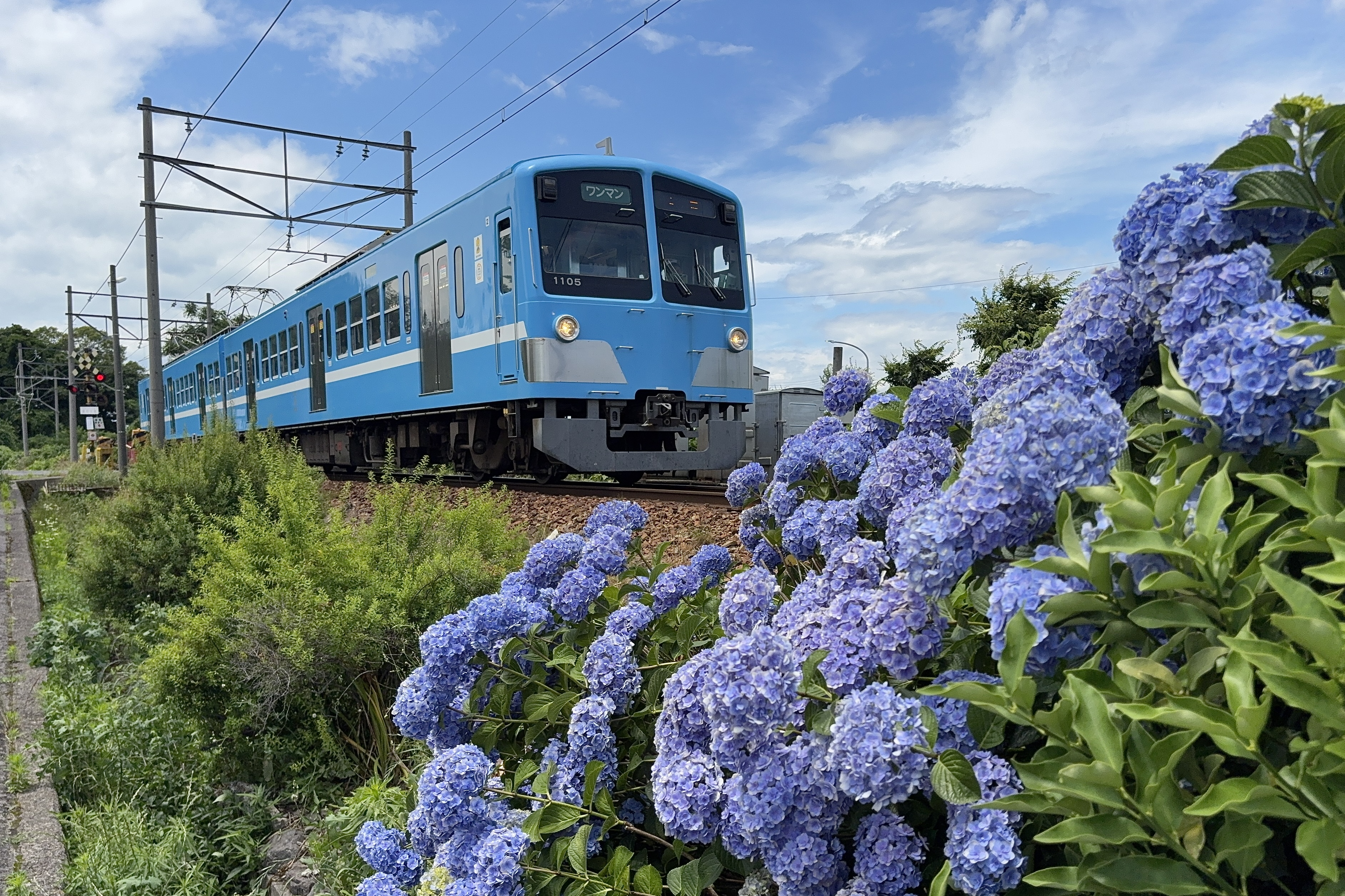 6月