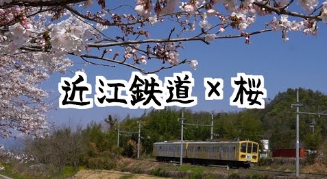 YouTube　近江鉄道×桜