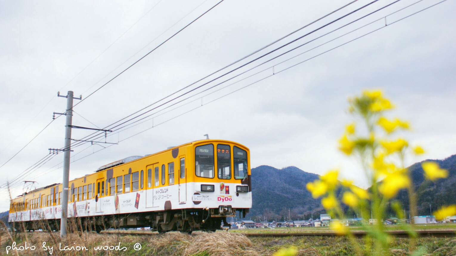 風景04