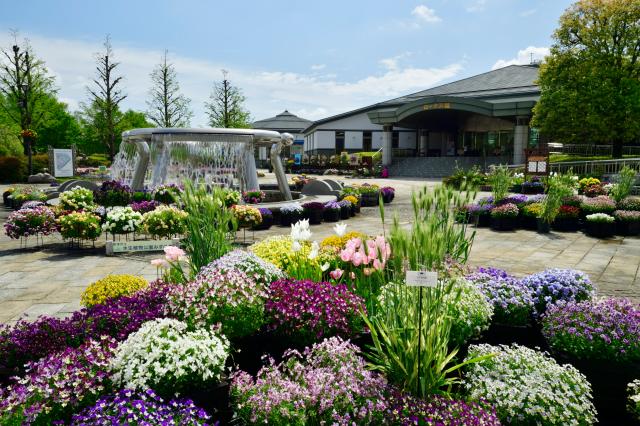 草津市立水生植物公園　みずの森
