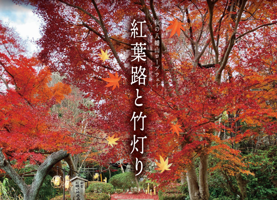 秋の八幡山ロープウェー 紅葉路と竹灯り