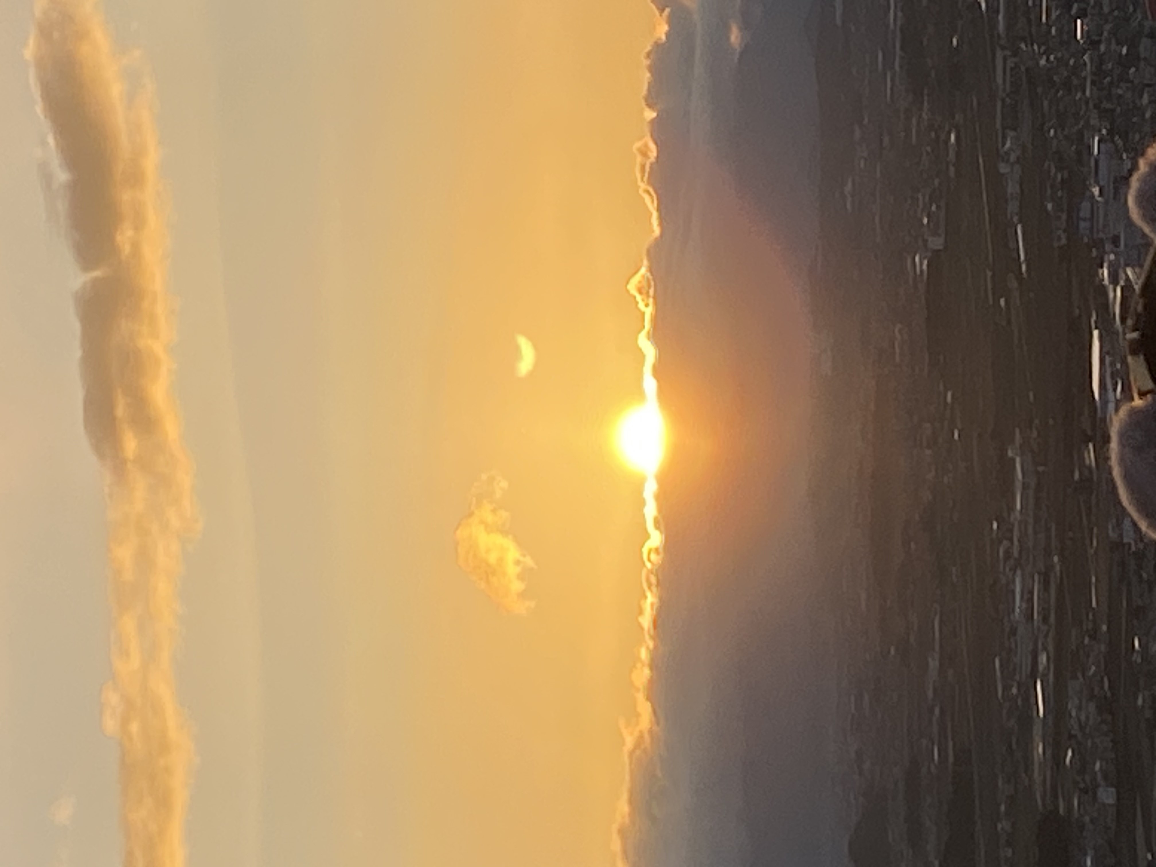 2024年度元旦撮影