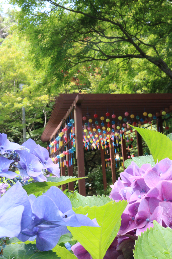 八幡山絶景賞