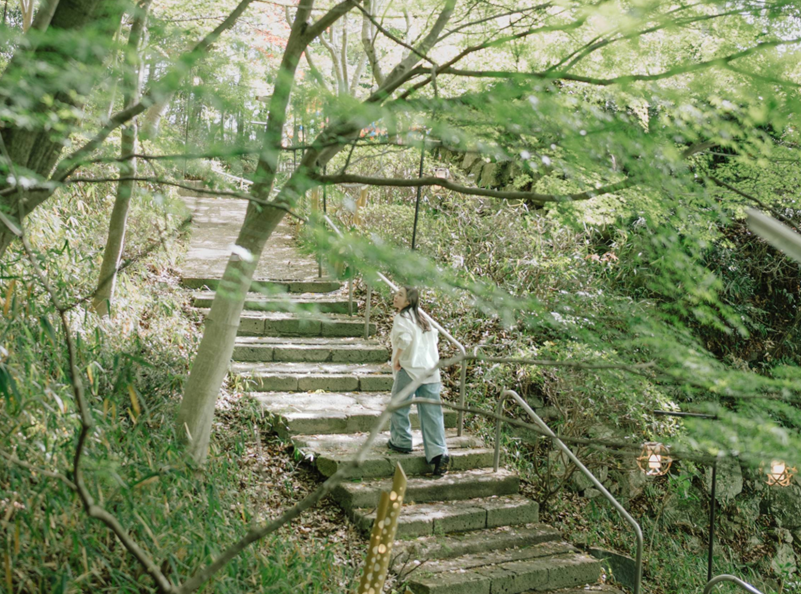 新緑の写真02