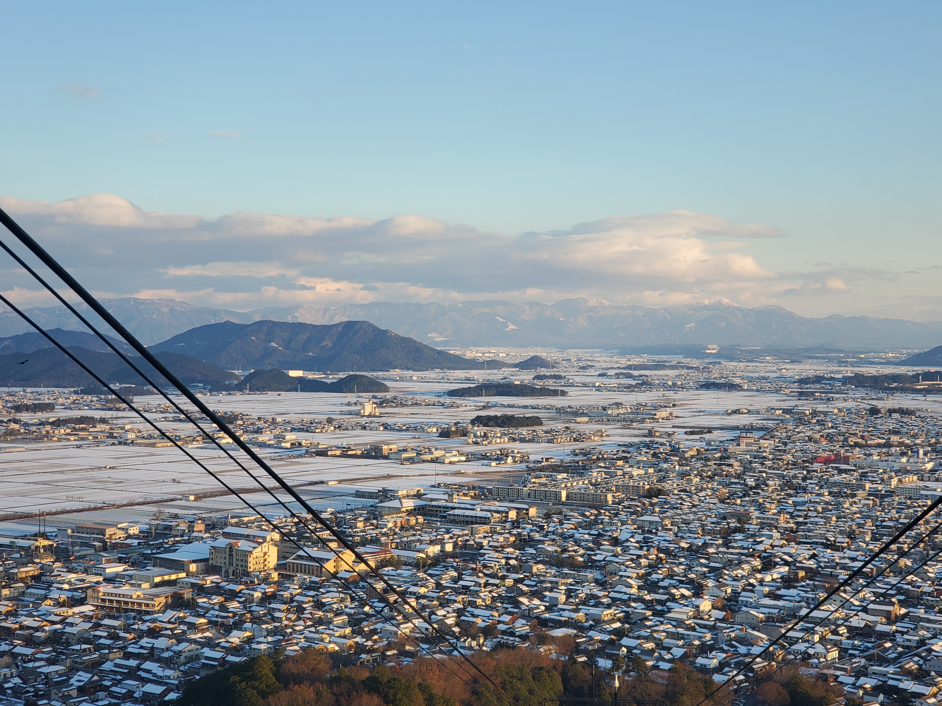 冬