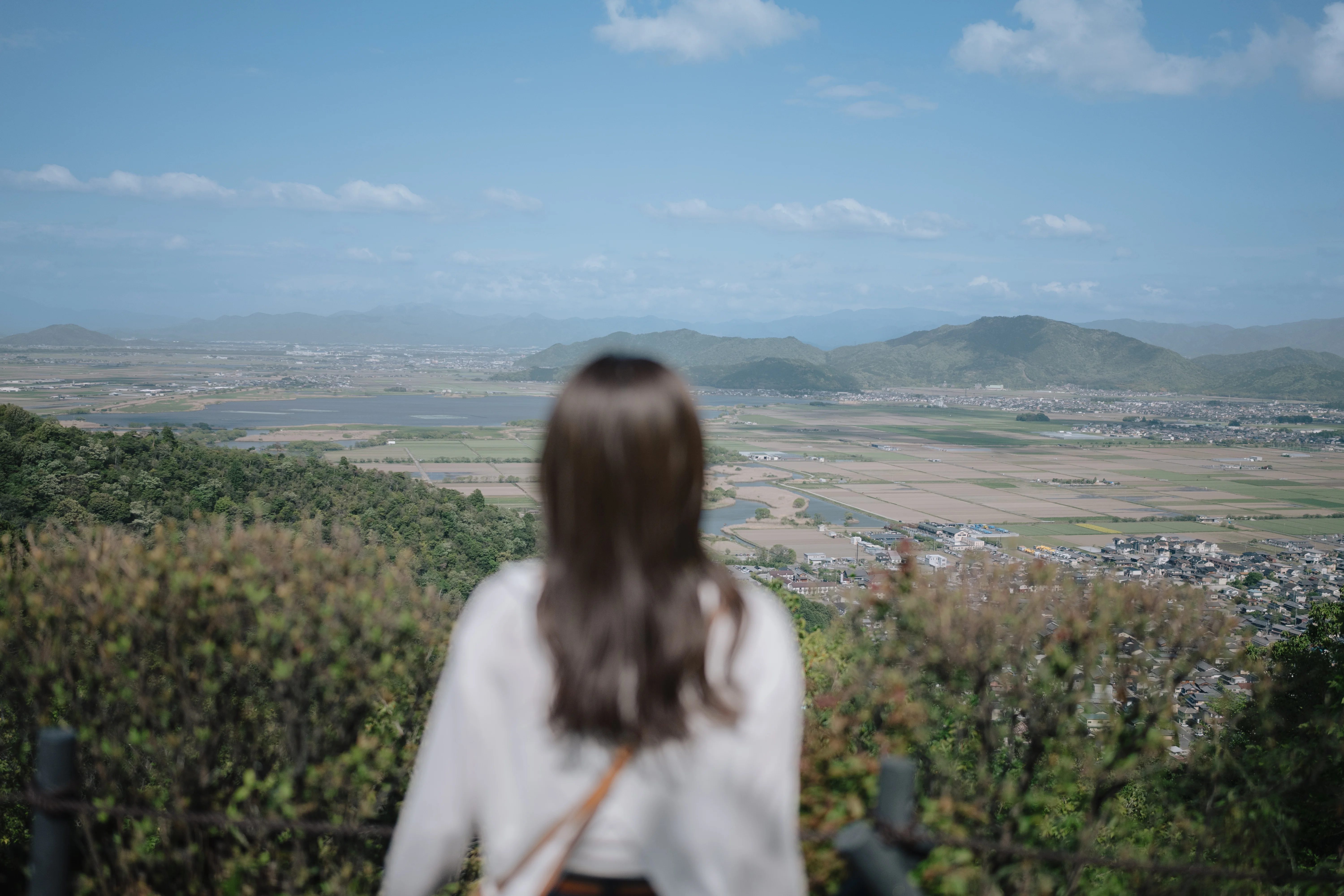 八幡山城跡から望む景色