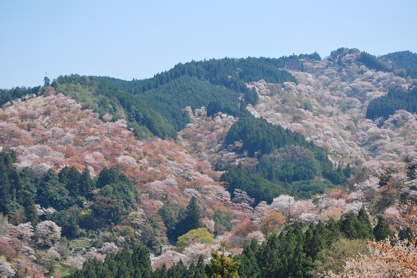 吉野山