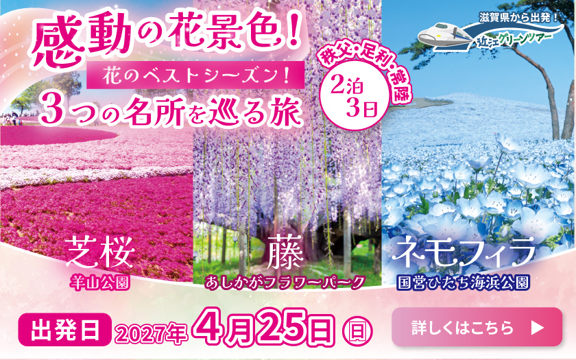 花巡り