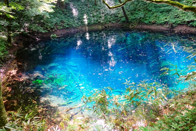 青池