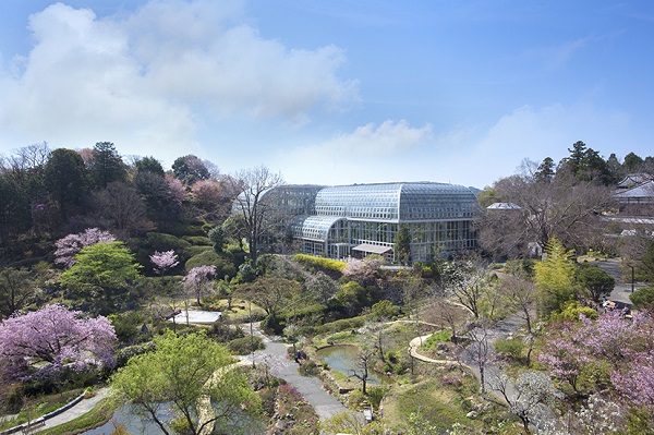 植物園