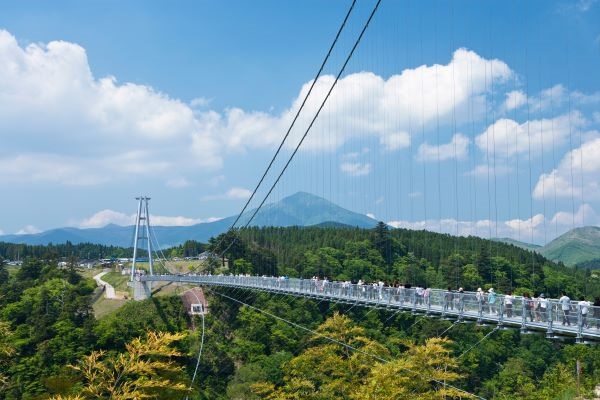 九重❛夢❜大吊橋