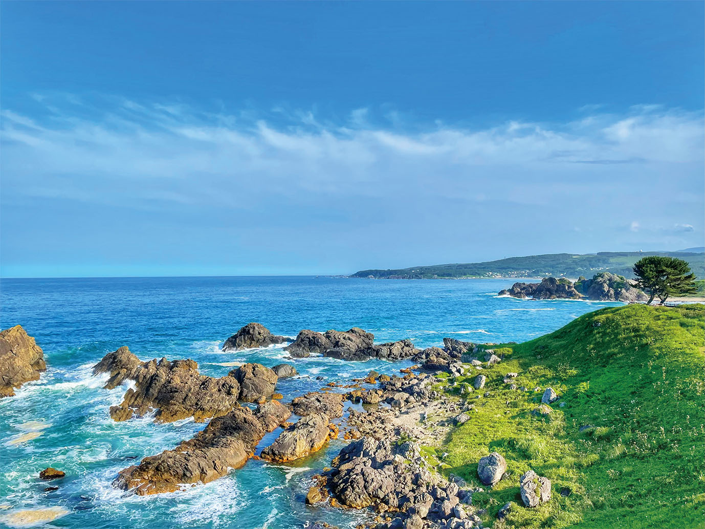 種差海岸