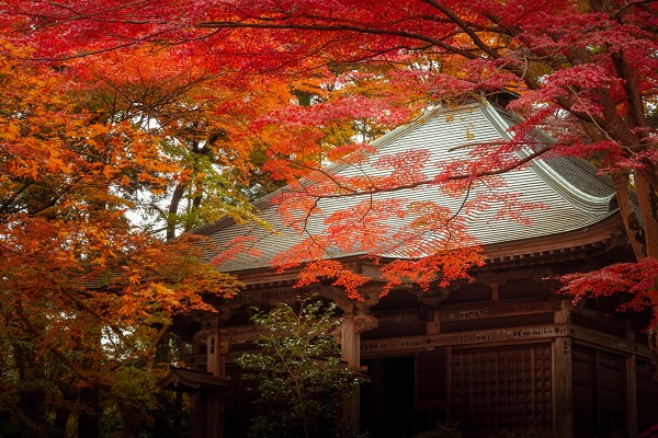 中尊寺