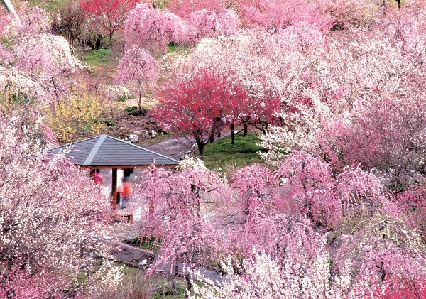 いなべ市農業公園