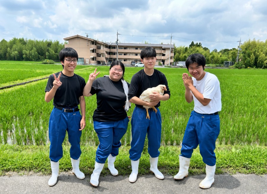 滋賀県立甲南高等学校　カレー班、鶏の飼育班「甲美鶏と黒米のバターキチンカレー」